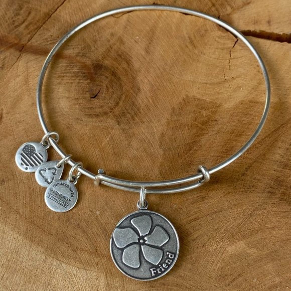 ALEX & ANI Friend Bracelet Energy Charm Bangle Set, Rafaelian Gold and Silver - Picture 4 of 9
